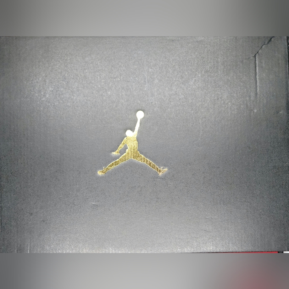 Nike Air Jordan 1 Mid TD Clests Sz 10 Men NIB - Picture 8 of 8